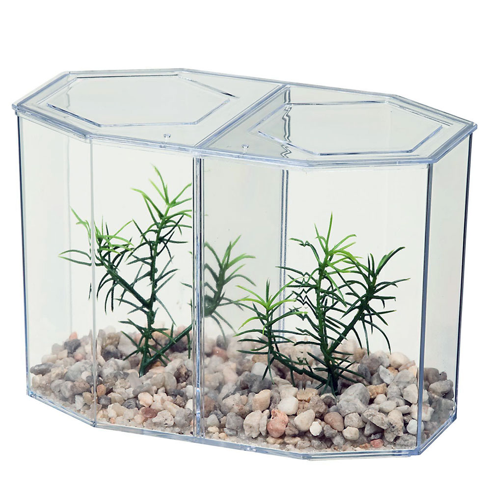1 Dual Betta Hex Kit Tank Pet Aquatic Fishes Aquarium Habitat Office Home Decor 7795735168837 eBay