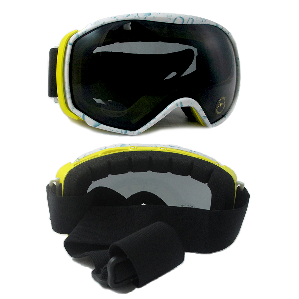 Details about   1-10 Pack Snow Ski Goggles Anti-fog Lens Snowboard Snowmobile Motorcycle USA